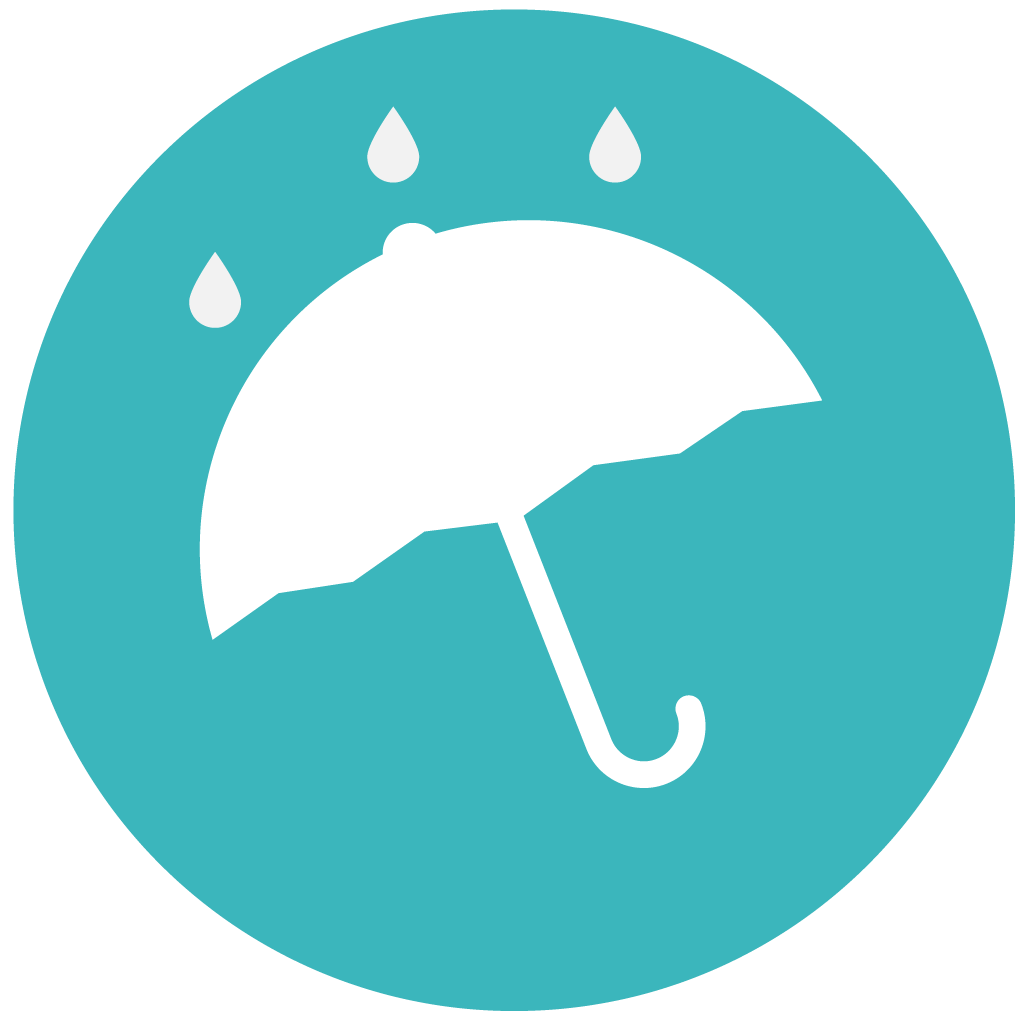 Weather Icon